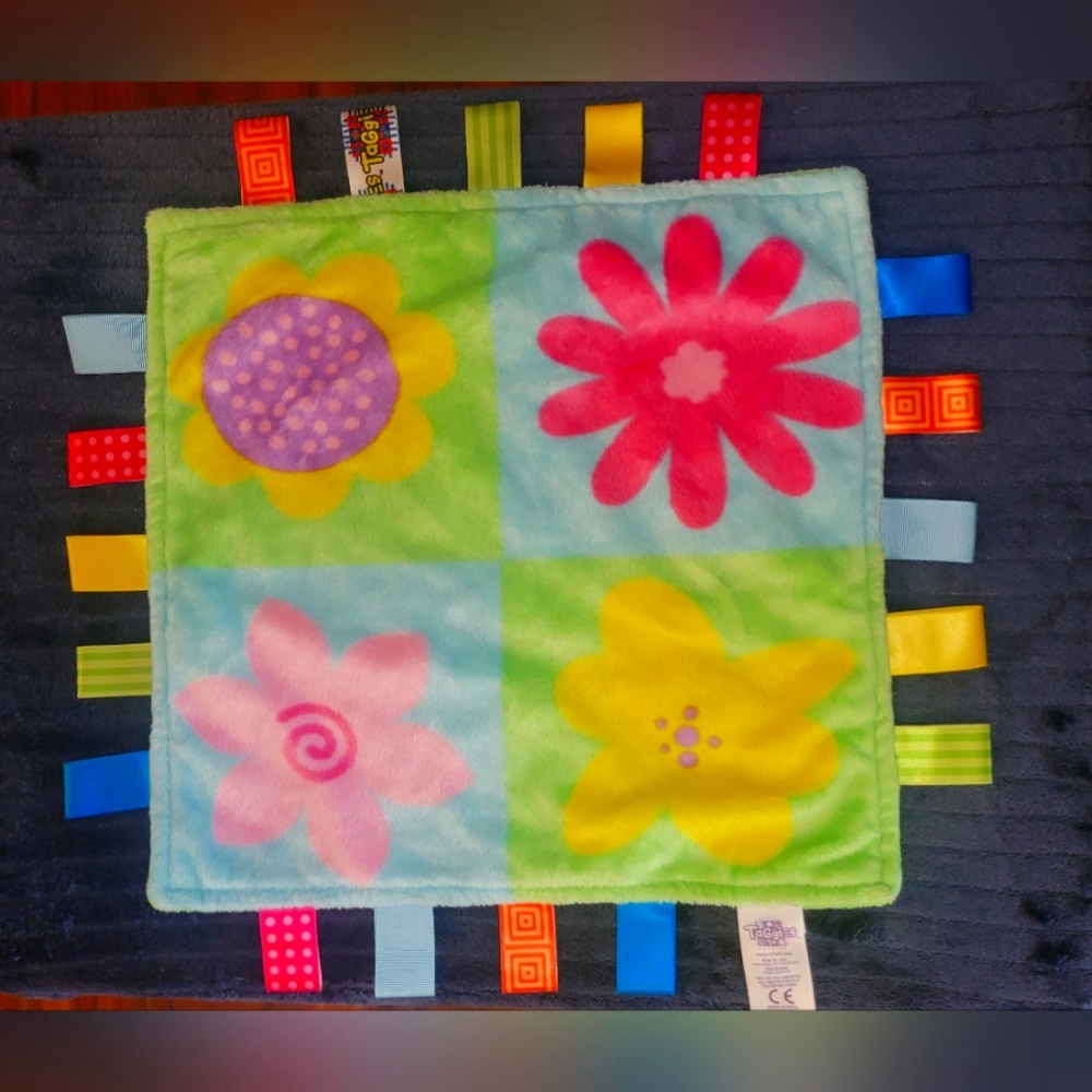 Taggies Plush Blanket with Blue and Green